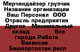 Мерчендайзер-грузчик › Название организации ­ Ваш Персонал, ООО › Отрасль предприятия ­ Другое › Минимальный оклад ­ 40 000 - Все города Работа » Вакансии   . Башкортостан респ.,Нефтекамск г.